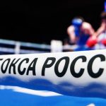 Федерация бокса России изучит высказывание Мирошниченко о предложении сняться с боя за деньги