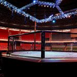 Представитель UFC отобрал у китайского бойца национальный флаг после победного поединка