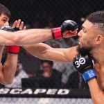 Бой Анкалаева и Уокера на турнире UFC в Абу‑Даби признан несостоявшимся