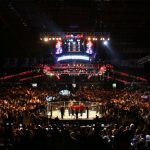 Магомедов победил Алвеса на турнире UFC Fight Night 241